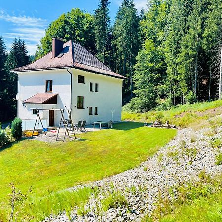Ferienhaus Lebenskraft Pfaffetschlag Экстерьер фото